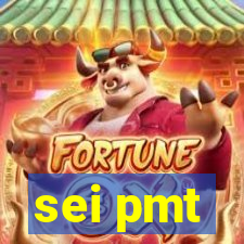 sei pmt